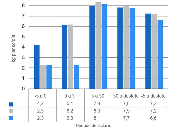 Gráfica 3. Consumo diario de pienso cuando las cerdas se alimentan a voluntad a partir de 5 días antes del parto (P -5d), del día del parto (P) o 3 días después (P + 3d).