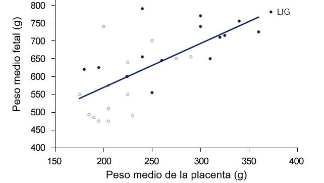 Gr&aacute;fica 3. Tanto en el grupo control (CTR)  como en el grupo ligado (LIG), grupo al que se le cerr&oacute; un oviducto, el peso de los fetos es dependiente del peso de la placenta.  (Town, 2005).