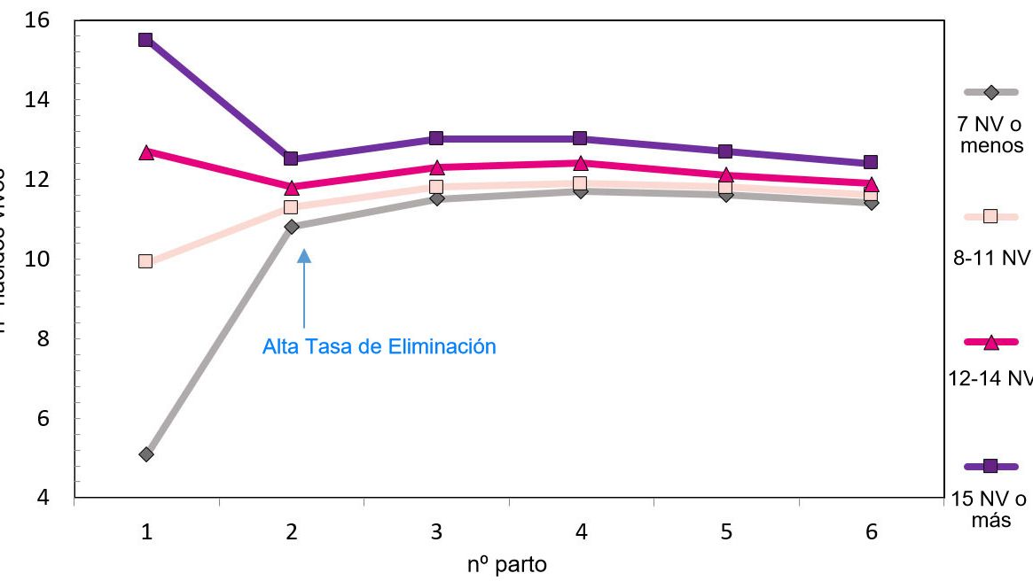 Gr&aacute;fico 1. Producci&oacute;n a lo largo de la vida de la cerda en funci&oacute;n de los lechones nacidos.