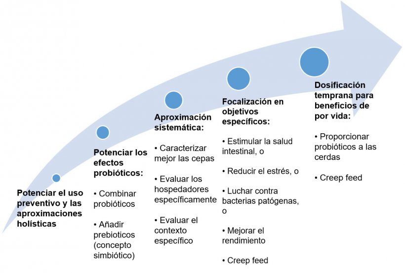 Figura 2. Estrategias para mejorar el uso de probi&oacute;ticos en etapas tempranas.
