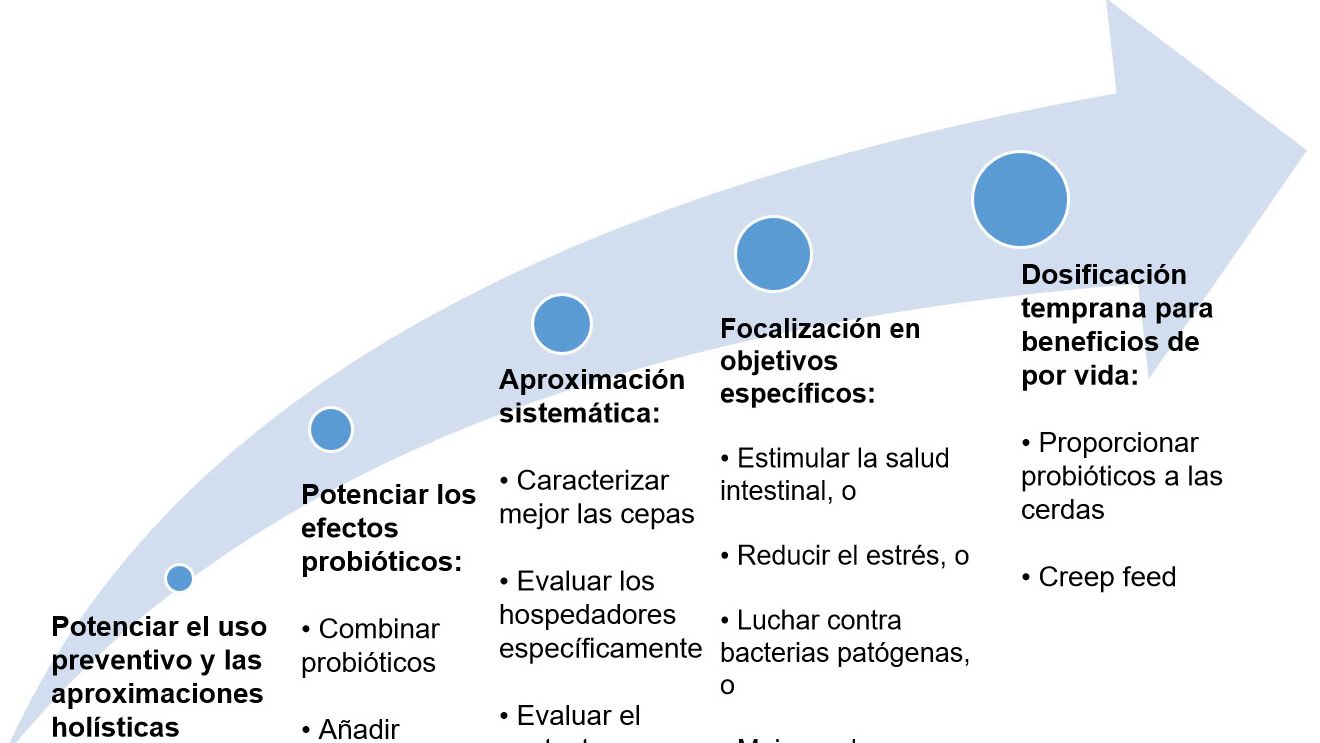 Figura 2. Estrategias para mejorar el uso de probi&oacute;ticos en etapas tempranas.

