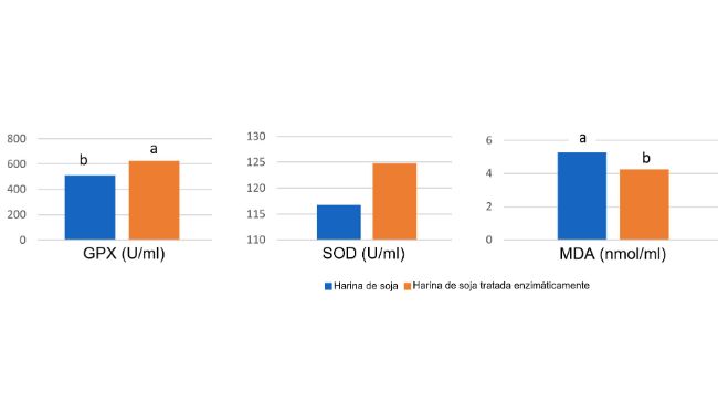 Gr&aacute;fico 1: La alimentaci&oacute;n con soja tratada enzim&aacute;ticamente con un contenido bajo en ant&iacute;geno de soja dio lugar a mayores concentrationes plasm&aacute;ticas de enzimas antioxidantes y una reducci&oacute;n del malonil dialdeh&iacute;do (MDA), un marcador del da&ntilde;o oxidativo, el d&iacute;a 14 despu&eacute;s del destete en comparaci&oacute;n con una harina de soja con un elevado nivel de ant&iacute;geno. (Ma et al., 2018)
