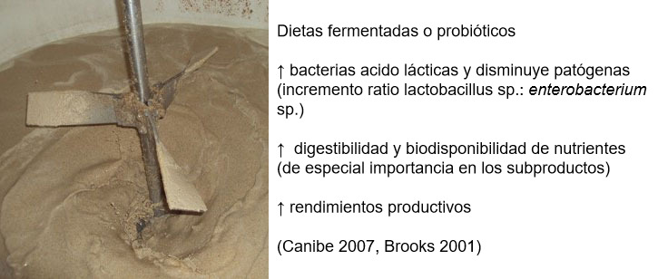 Figura 3: Tambi&eacute;n puede ser interesante fomentar la fermentaci&oacute;n mediante al utilizaci&oacute;n de dietas prefermentadas o probi&oacute;ticos. Se les atribuyen muchos beneficios como un amuento de la microbiota favorable (mejora ratio lactobacilus:enterobacterias), mejoras digestivas y finalmente mejoras en el rendimiento productivo del animal.
