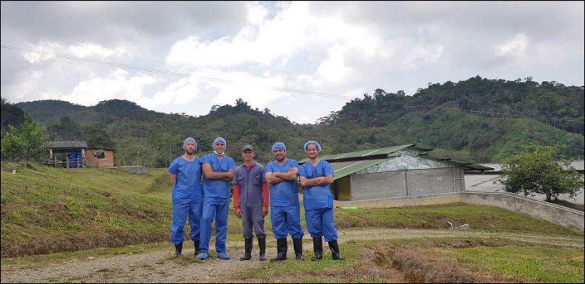 En la visita, nos acompa&ntilde;an Hector Mar&iacute;n (jefe de granja), Andr&eacute;s Felipe Vallejo (t&eacute;cnico comercial de Porcigenes S.A.) Nelson Adrian Restrepo (Hypor Key Account Manager en Latinoam&eacute;rica) y Carlos Martins (Departamento t&eacute;cnico Hypor).
