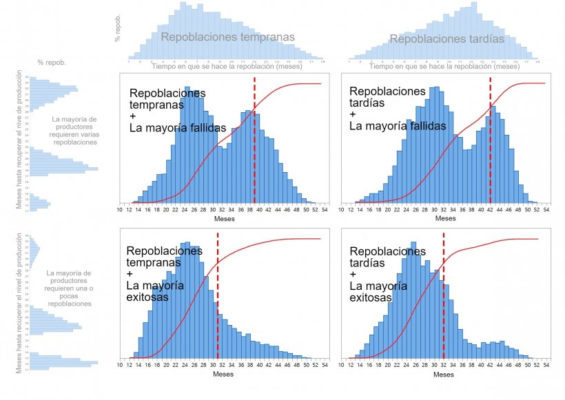 Gr&aacute;fico 1. Se describen cuatro patrones diferentes de repoblaci&oacute;n de la caba&ntilde;a porcina dependiendo de cu&aacute;ndo se toman las decisiones de repoblaci&oacute;n (temprano/tarde: parte superior del gr&aacute;fico) y el tiempo necesario para restaurar totalmente la producci&oacute;n (uno-pocos/varios intentos: izquierda del gr&aacute;fico). Las distribuciones de probabilidad acumuladas del tiempo de recuperaci&oacute;n se muestran en rojo y las l&iacute;neas rojas punteadas muestran la cantidad de meses necesarios hasta que se alcanza el 80% de la repoblaci&oacute;n.
