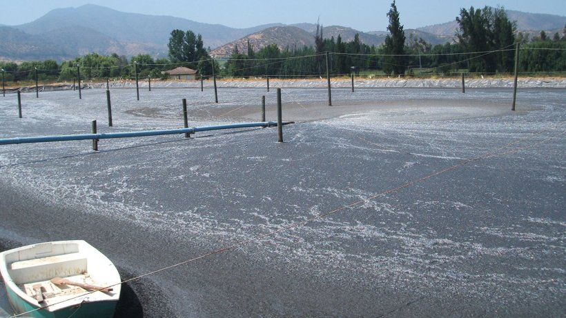 Figura 1: Laguna anaerobia de purines: un foco de emisiones de gases de efecto invernadero y de amon&iacute;aco.
