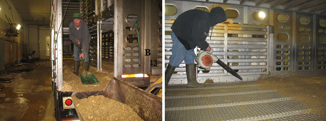 Imagen 2: Proceso de limpieza en seco en el que la mayor parte del material org&aacute;nico se elimina manualmente. Por cortes&iacute;a de Dr. Clayton Johnson de Carthage Veterinary Services.
