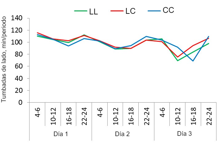 Figura1. Patr&oacute;n de reposo de las cerdas en el sistema SWAP con 3 estrategias de uso distintas: sin confinamiento, confinamiento tras el parto y durante 4 d&iacute;as (despu&eacute;s libres), o confinamiento el d&iacute;a antes del parto y durante 4 d&iacute;as (despu&eacute;s libres). El tiempo que las cerdas pasaron tumbadas&nbsp;de lado durante los 3 primeros d&iacute;as de lactaci&oacute;n (registrado en periodos de 2 h) en los 3 tratamientos: Libres en parto y lactaci&oacute;n (LL), confinadas tras el parto y durante los primeros 4 d&iacute;as de lactaci&oacute;n (LC), confinadas un d&iacute;a antes del parto previsto y durante los 4 primeros d&iacute;as de lactaci&oacute;n (CC).
