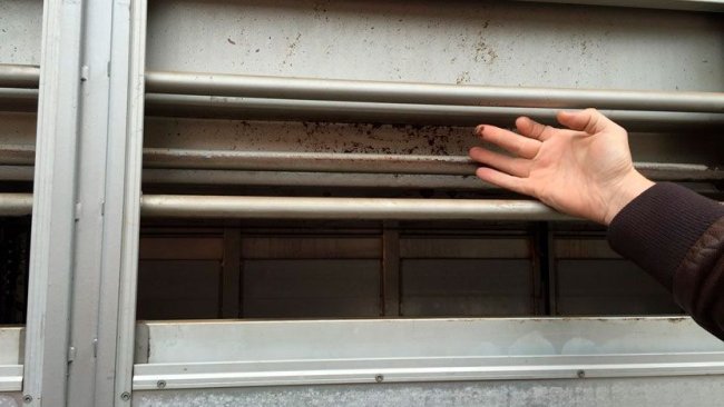 Foto 3: Paneles laterales después de la limpieza y desinfección.