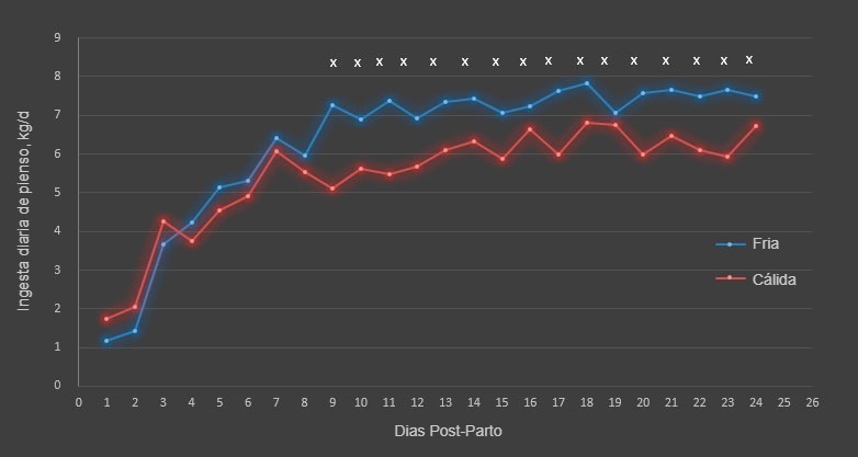 Figura 1. Ingesta diaria de alimento durante la estaci&oacute;n fr&iacute;a y c&aacute;lida.&nbsp;El consumo de alimento difiri&oacute; entre estaciones&nbsp;del d&iacute;a 9-18 y del 20-24 (&times;; P &lt;0,05). Se utilizaron un total de 17 y 31 cerdas para la estaci&oacute;n fr&iacute;a y c&aacute;lida&nbsp;respectivamente.
