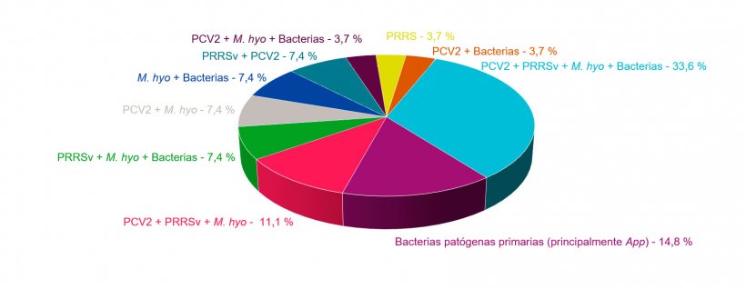 Figura 1: Combinaciones de pat&oacute;genos encontradas en casos de campo de CRP diagnosticados en los &uacute;ltimos 4 a&ntilde;os en el Servicio de Anatom&iacute;a Patol&oacute;gica de la Facultad de Veterinaria de la Universidad de Murcia.
