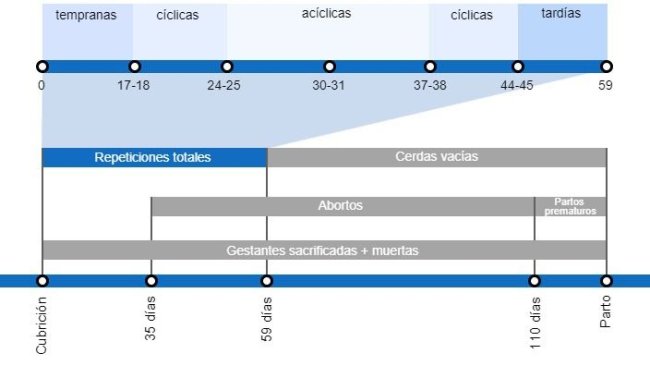 Tipos de pérdidas de gestación que repercuten en una menor tasa de partos, con el detalle de los distintos tipos de repeticiones según en el momento en que se producen.