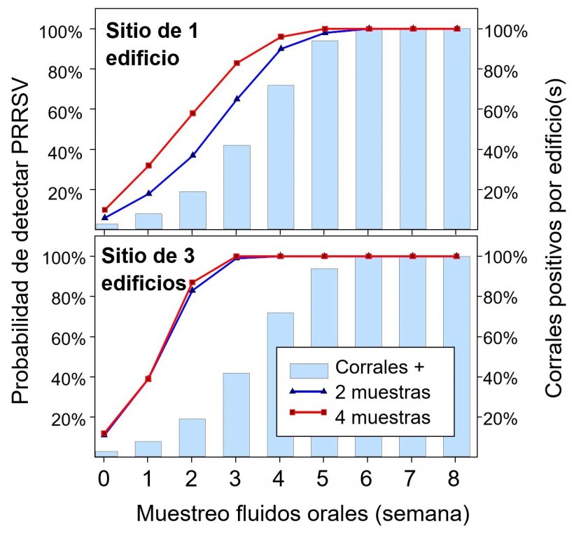 Figura 1. Detecci&oacute;n de PRRSV usando muestreo fijo espacial. Probabilidad de detectar &ge; 1 muestra positiva a PRRSV como funci&oacute;n del n&uacute;mero de muestras tomadas por nave&nbsp;(2 o 4) y el n&uacute;mero de corrales muestreados por granja (1 o 3). Nota que la probabilidad de detecci&oacute;n incrementa geom&eacute;tricamente con el n&uacute;mero de cuerdas y naves muestreadas. Datos de Rotolo et al., (2017). 
