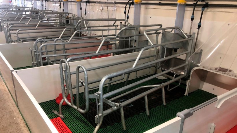 Imagen 2. Plaza de maternidad correctamente limpia, desinfectada y seca para recibir la entrada de cerdas a parto.
