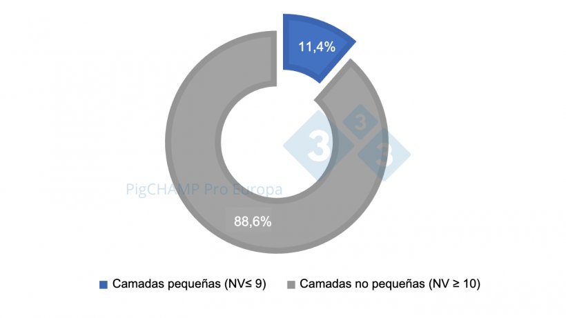 Gr&aacute;fico 1. Distribuci&oacute;n porcentual de las camadas seg&uacute;n tama&ntilde;o, 2018-2019.
