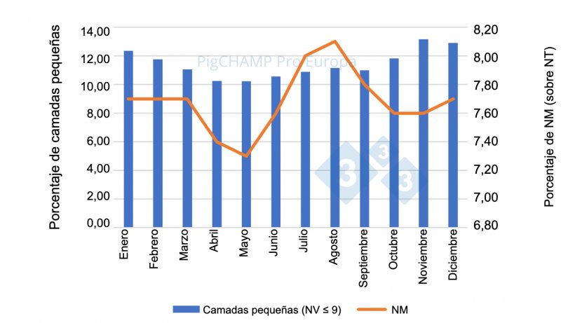 Gr&aacute;fico 3. Distribuci&oacute;n porcentual de lechones NM y de camadas peque&ntilde;as (NV&le;9 lechones), 2018-2019.
