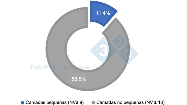 Gráfico 1. Distribución porcentual de las camadas según tamaño, 2018-2019.