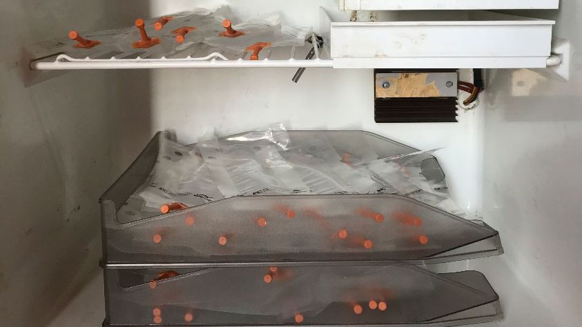 Foto 1. Colocaci&oacute;n de las dosis en bandejas dispuestas una encima de otra con el fin de evitar la sedimentaci&oacute;n inadecuada de los espermatozoides y facilitar el movimiento peri&oacute;dico de estas para su homogeneizaci&oacute;n.
