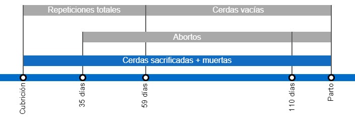  Tipos de pérdidas de gestación que repercuten en una menor tasa de partos, con el detalle de los distintos tipos de repeticiones según en el momento en que se producen.