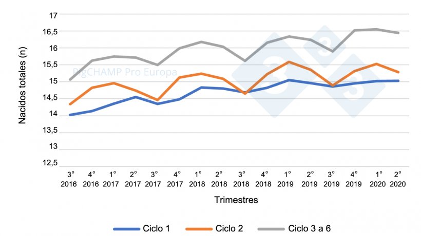 Gr&aacute;fico 5.&nbsp;Prolificidad por ciclo y trimestres de cubriciones, cubriciones periodo Julio 16-Junio 20.
