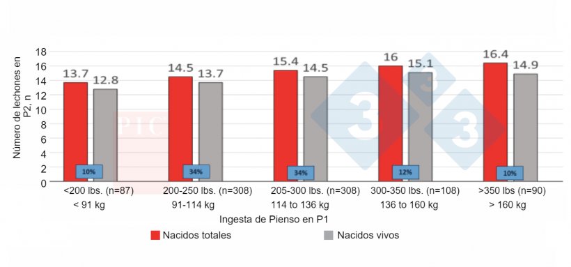 Figura 1.&nbsp;Efecto del consumo de pienso en primer parto&nbsp;sobre el tama&ntilde;o de camada del segundo parto. Vale la pena reducir las bajadas de consumo en las hembras j&oacute;venes. Fuente: Servicios t&eacute;cnicos de PIC Norteam&eacute;rica (no publicado).
