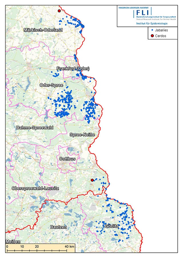 Mapa de casos de PPA en Alemania (a 16 de julio de 2021). Fuente: FLI