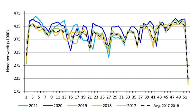 Sacrificio porcino semanal en el mercado federal canadiense. Fuente: USDA from Agriculture and Agri-Food Canada.