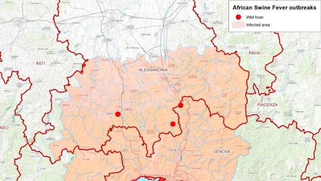 Brotes de PPA en Italia.