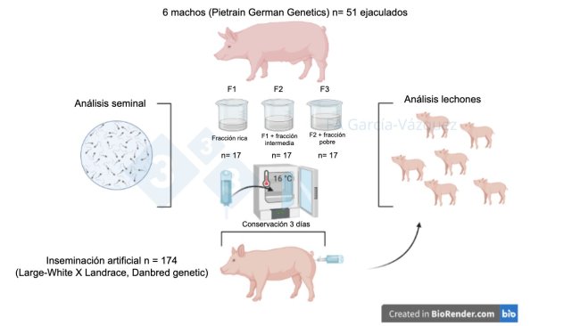 Figura 1. Resumen gráfico del estudio.