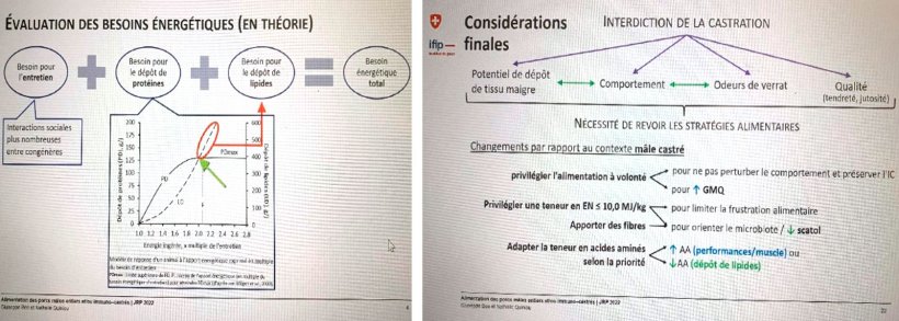 Evaluación de las necesidades energéticas teóricas