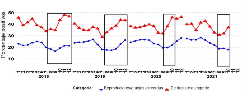 Gr&aacute;fico 1. Porcentaje de muestras PCR positivas para las categor&iacute;as de&nbsp;reproductores y de cerdos de destete a venta.&nbsp;Los recuadros negros muestran los picos m&aacute;s acentuados y/o m&aacute;s tempranos en los datos de destete a venta&nbsp;en comparaci&oacute;n con los de las explotaciones de reproductores/cerdas.&nbsp;Fuente:&nbsp;ISU-VDL: Iowa State University Veterinary and Diagnostic Laboratory; UMN-VDL: University of Minnesota Veterinary and Diagnostic Laboratory; SDSU-ADRDL; South Dakota State University Animal Disease Research and Diagnostic Laboratory; KSU-VDL: Kansas State University Veterinary and Diagnostic Laboratory; OH-ADDL: Ohio Animal Disease and Diagnostic Laboratory.
