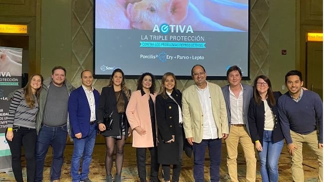 Lanzamiento vacuna MSD