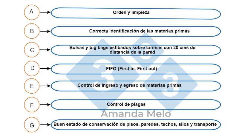 Figura 6:&nbsp;Puntos cr&iacute;ticos del almacenamiento de materias primas.&nbsp;
