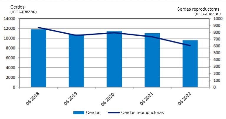 Evolución del censo