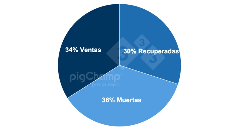 Gr&aacute;fico 2. Distribuci&oacute;n de las cerdas que destetan 0 lechones por destino posterior, periodo de destetes Julio 20-Junio 21.
