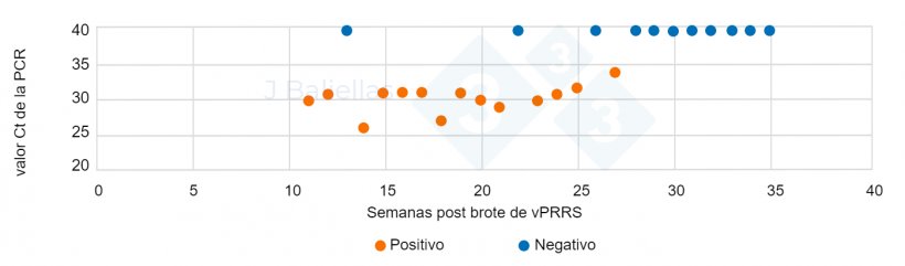 Figura 1. Evoluci&oacute;n de los valores Ct&nbsp;de la PCR en las semanas post brote de PRRS.
