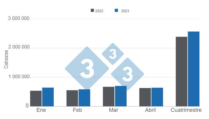 Gr&aacute;fico 1. Faena de porcinos en el primer cuatrimestre de 2023 versus 2022.&nbsp;Elaborado por el Departamento de Econom&iacute;a e Inteligencia de Mercados con datos de la Secretar&iacute;a de Agricultura, Ganader&iacute;a y Pesca&nbsp;del Ministerio de Econom&iacute;a de Argentina.&nbsp;
