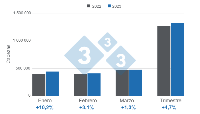 Gr&aacute;fico 1. Beneficio de porcinos en Colombia al primer trimestre de 2023.&nbsp;Elaborado por el Departamento de Econom&iacute;a e Inteligencia de Mercados con datos del DANE.&nbsp;
