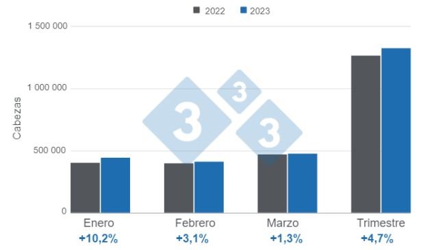 Gráfico 1. Beneficio de porcinos en Colombia al primer trimestre de 2023. Elaborado por el Departamento de Economía e Inteligencia de Mercados con datos del DANE. 