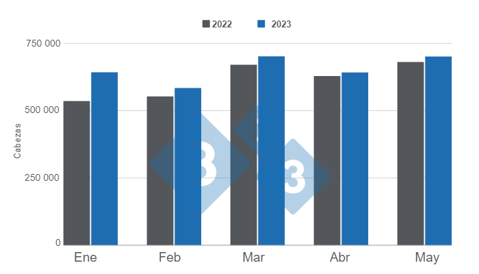 Gr&aacute;fico 1. Faena mensual de porcinos en los primeros cinco meses del a&ntilde;o.&nbsp;Elaborado por el Departamento de Econom&iacute;a e Inteligencia de Mercados con datos de la Secretar&iacute;a de Agricultura, Ganader&iacute;a y Pesca del Ministerio de Econom&iacute;a de Argentina.&nbsp;
