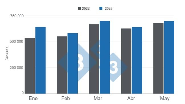 Gráfico 1. Faena mensual de porcinos en los primeros cinco meses del año. Elaborado por el Departamento de Economía e Inteligencia de Mercados con datos de la Secretaría de Agricultura, Ganadería y Pesca del Ministerio de Economía de Argentina. 
