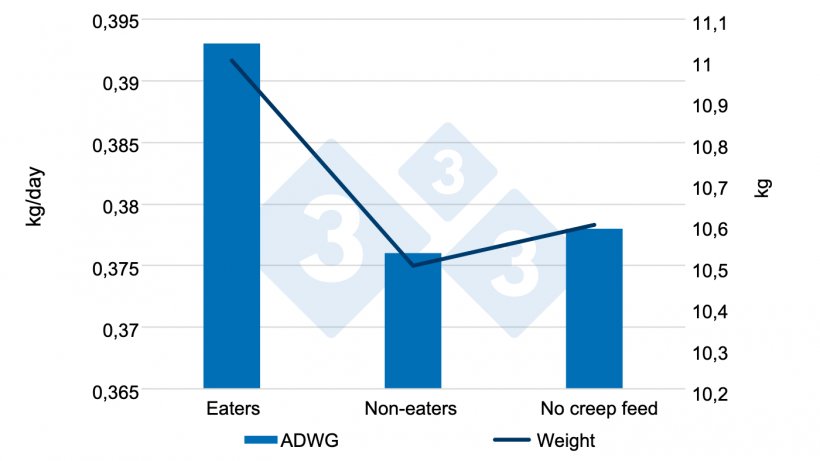 Figura 6. Ganancia diaria de peso y peso seg&uacute;n hayan comido o no pienso pre-starter antes del destete (0-28 d). Fuente:&nbsp;Sulabo et al. 2014.
