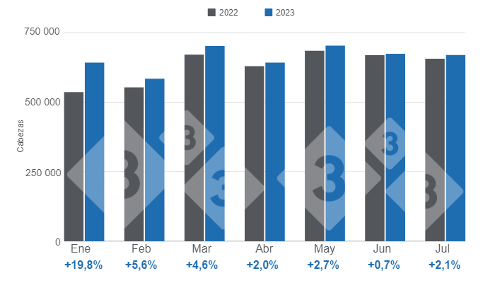 Gr&aacute;fico 1. Beneficio&nbsp;mensual de porcinos en el per&iacute;odo enero - julio, variaciones respecto a 2022.&nbsp;Elaborado por el Departamento de Econom&iacute;a e Inteligencia de Mercados con datos de la Secretar&iacute;a de Agricultura, Ganader&iacute;a y Pesca&nbsp;del Ministerio de Econom&iacute;a de Argentina.&nbsp;
