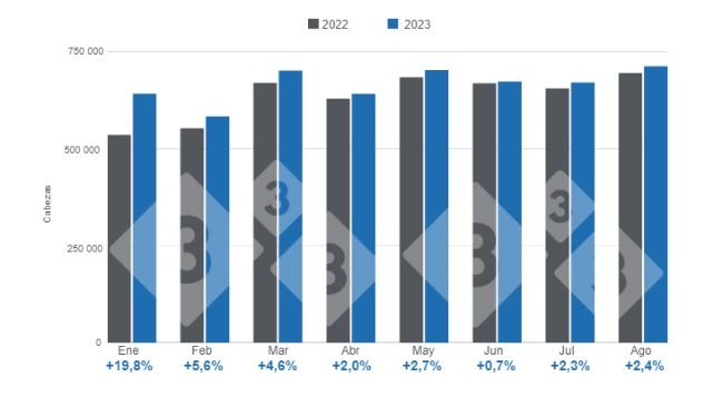 Gráfico 1. Faena mensual de porcinos en el período enero - agosto, variaciones respecto a 2022. Elaborado por el Departamento de Economía e Inteligencia de Mercados de 333 Latinoamérica con datos de la Secretaría de Agricultura, Ganadería y Pesca del Ministerio de Economía de Argentina. 