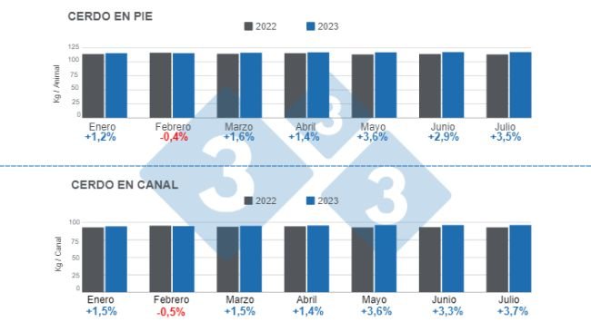 Gráfico 1. Peso promedio mensual de los cerdos en pie y en canal para el período enero – julio, variaciones anuales. Elaborado por el Departamento de Economía e Inteligencia de Mercados de 333 Latinoamérica con datos del DANE 