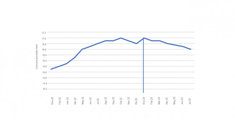 Gr&aacute;fico 3. Evoluci&oacute;n del consumo de carne de cerdo (promedio m&oacute;vil) periodo enero 2022 a julio 2023. SAGPYA.&nbsp;
