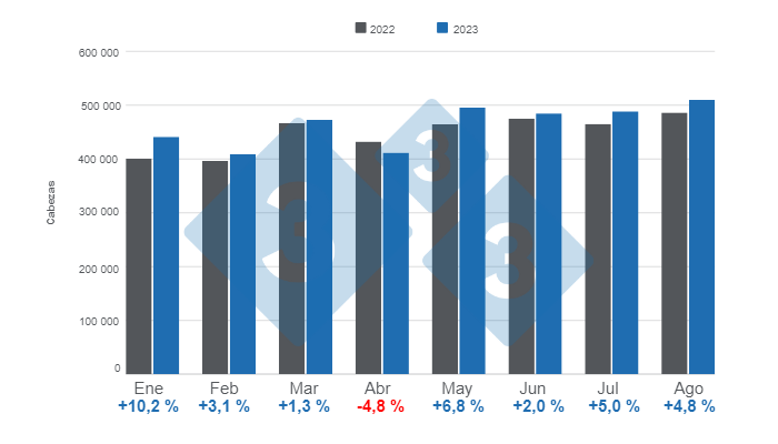 Gr&aacute;fico 1. Beneficio mensual de porcinos en el per&iacute;odo enero &ndash; agosto, variaciones anuales. Elaborado por el Departamento de Econom&iacute;a e Inteligencia de Mercados de 333 Latinoam&eacute;rica con datos del DANE.&nbsp;
