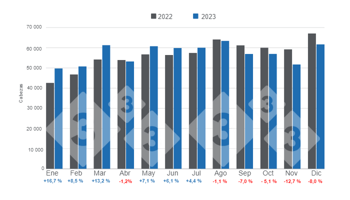 Gr&aacute;fico 1. Beneficio mensual de porcinos en Panam&aacute; en 2023, variaciones anuales.&nbsp;Elaborado por el Departamento de Econom&iacute;a e Inteligencia de Mercados de 333 Latinoam&eacute;rica con datos del Instituto Nacional de Estad&iacute;stica y Censo &ndash; Panam&aacute; (INEC).
