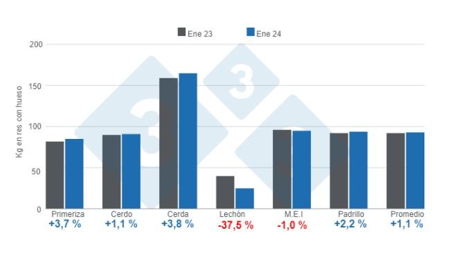 Gráfico 1: Peso promedio de la res porcina por categorías y promedio general – enero 2024, variación anual. Elaborado por el Departamento de Economía e Inteligencia de Mercados de 333 Latinoamérica con datos de la Secretaría de Agricultura, Ganadería y Pesca del Ministerio de Economía de Argentina. 
