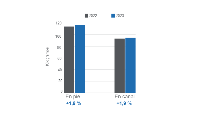 Gr&aacute;fico 1. Peso promedio del cerdo en pie en y en canal para 2023, variaciones anuales. Elaborado por el Departamento de Econom&iacute;a e Inteligencia de Mercados de 333 Latinoam&eacute;rica con datos del DANE.&nbsp;
